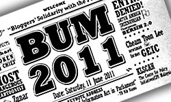 bum-2011