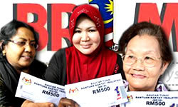 br1m-ppl