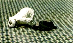 islam-culture